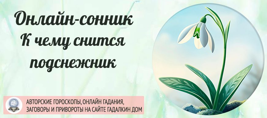 Подснежники, увиденные во сне