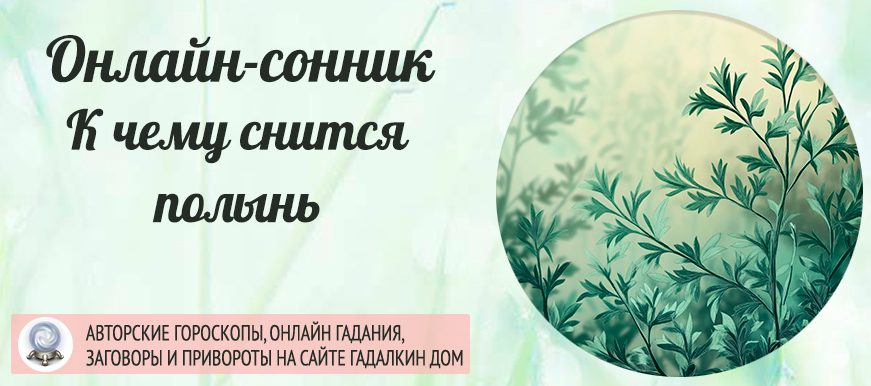 приснилась полынь