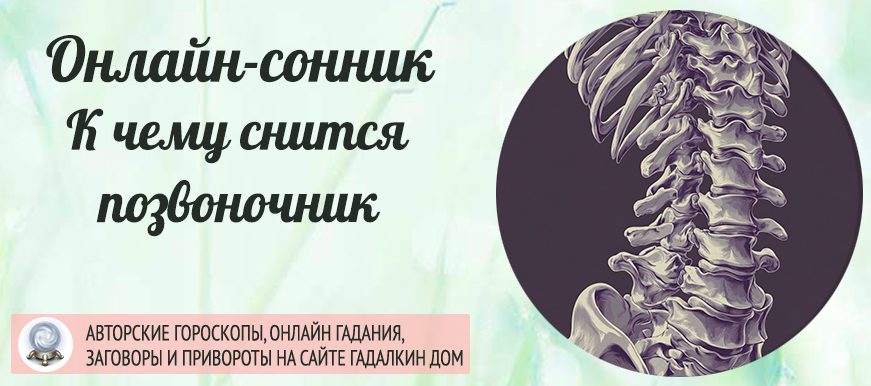сонник позвоночник
