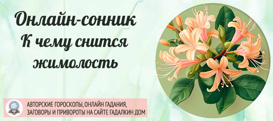 К чему снится Жимолость