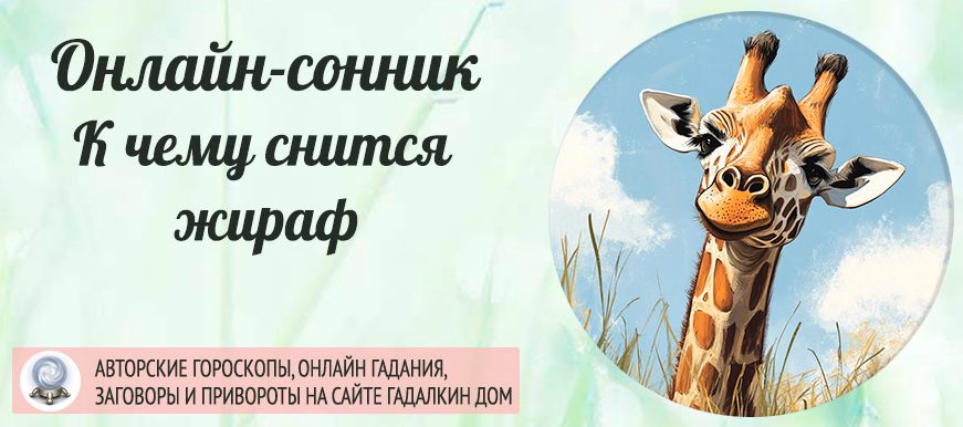 К чему снится жираф