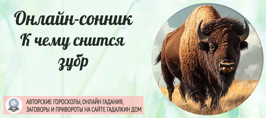 приснился зубр