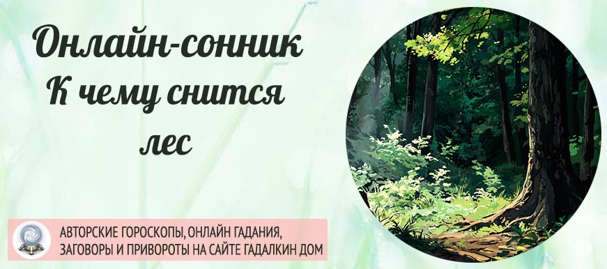 К чему снится лес