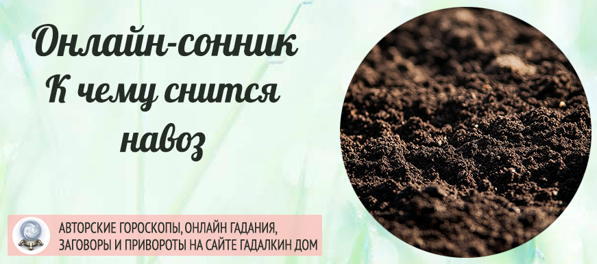 К чему снится навоз