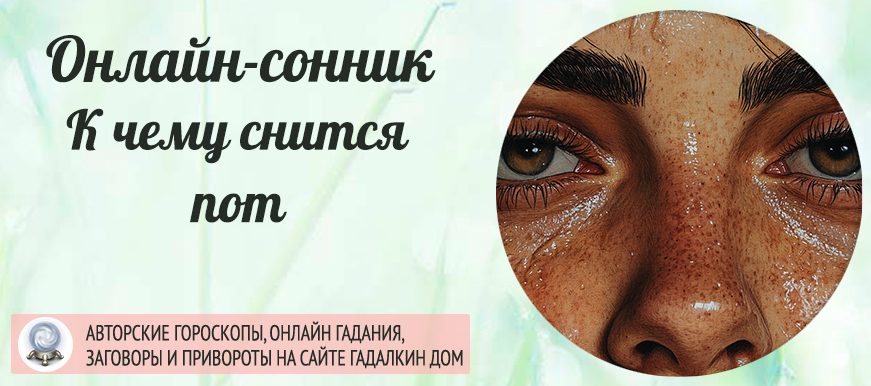 сонник пот