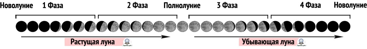 месячный лунный цикл