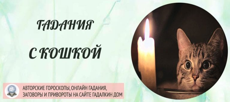 Гадания На Кошках