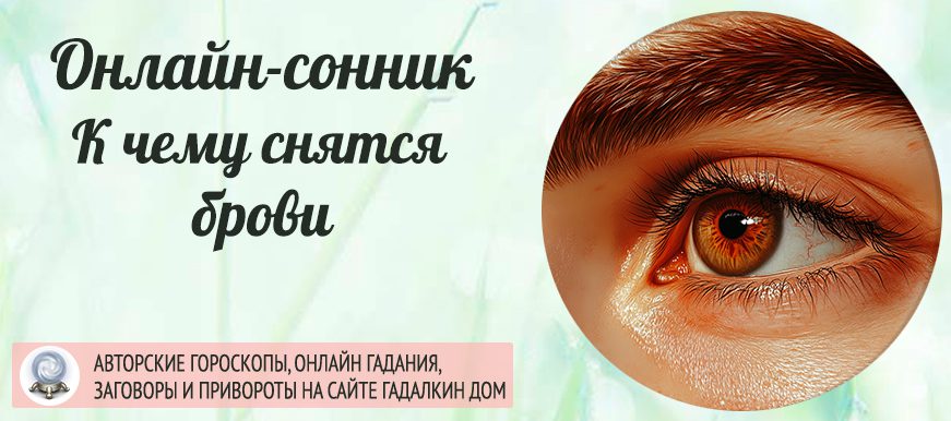 Сонник: брови