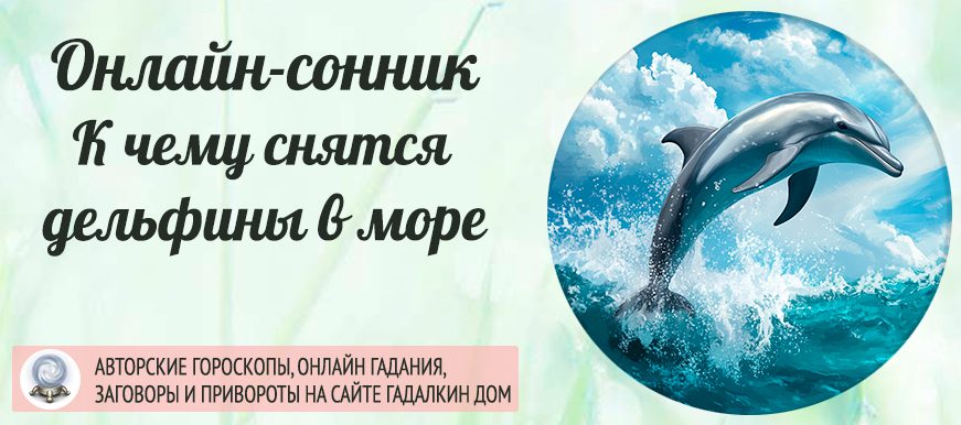 Сонник: дельфины в море