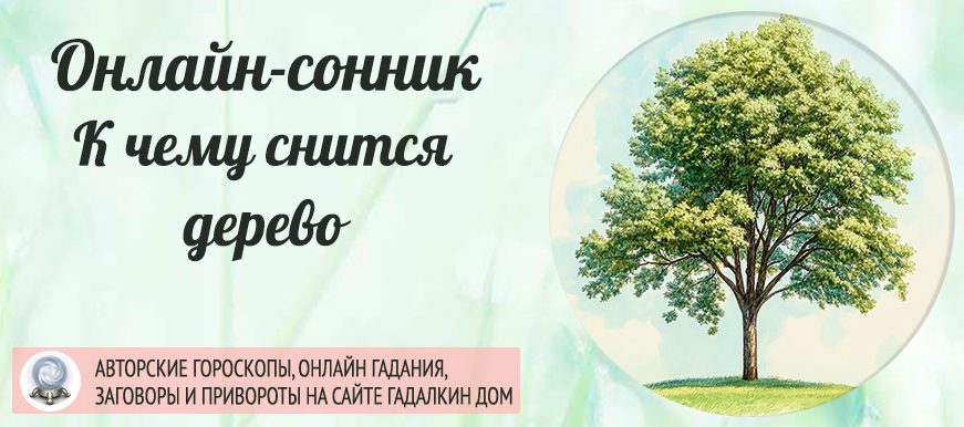 Сонник: дерево