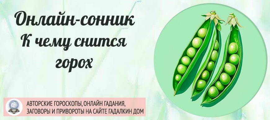 Сонник: горох