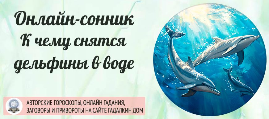Сонник: дельфин в воде