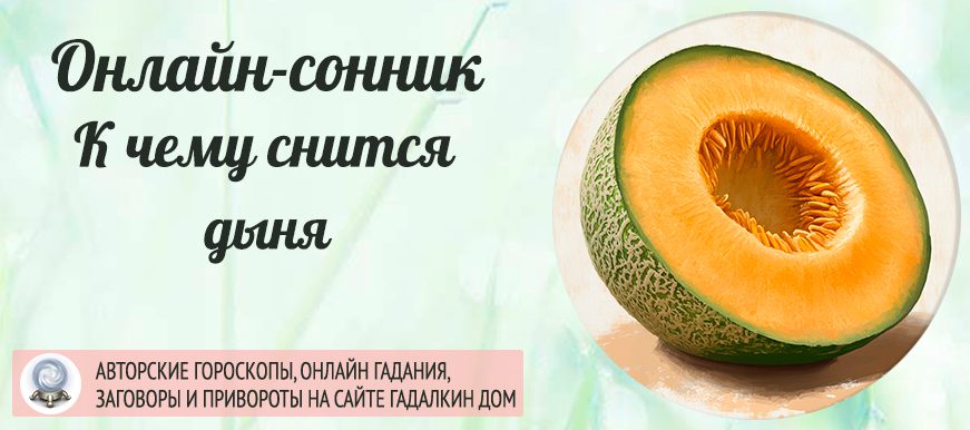 Сонник: дыня