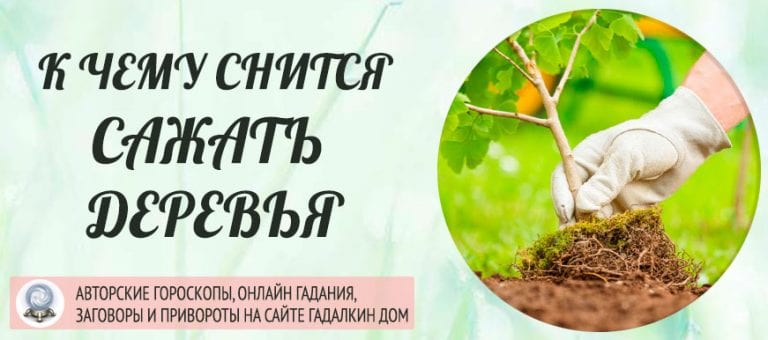 Сонник: сажать деревья