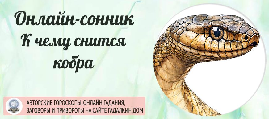 Сонник: кобра
