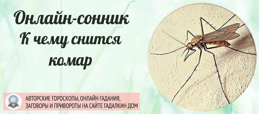 Сонник: комары