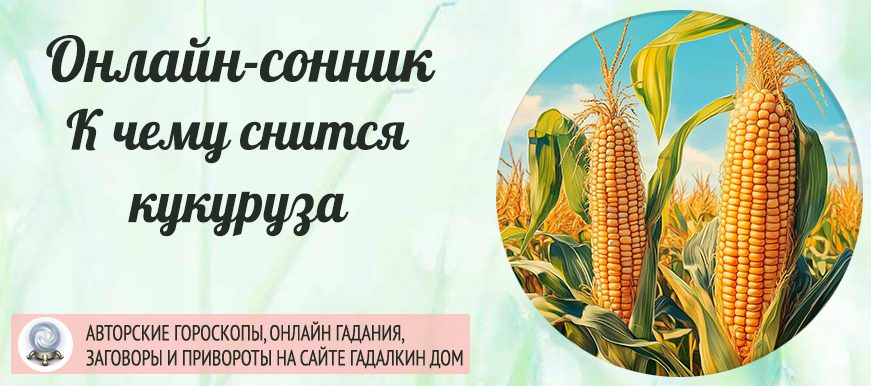 Сонник: кукуруза