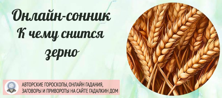 Сонник: зерно