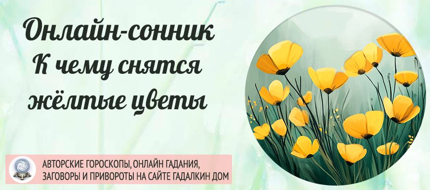 Сонник: жёлтые цветы