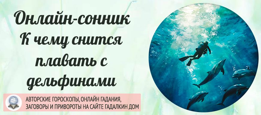 Сонник: плавать с дельфинами