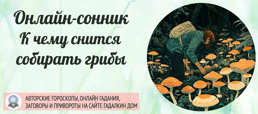 Сонник: собирать грибы