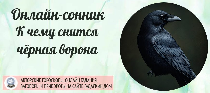Сонник: чёрная ворона