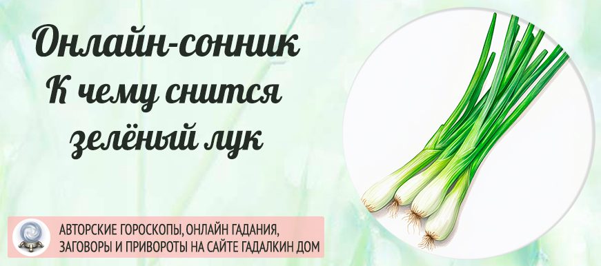 Сонник: зелёный лук