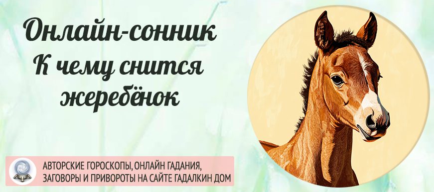 Сонник: жеребёнок