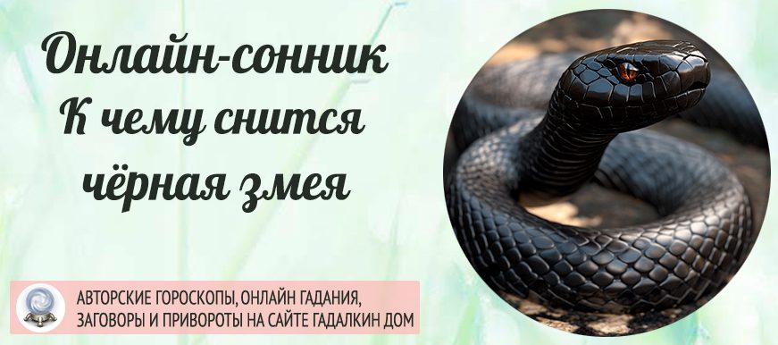 Сонник: чёрная змея