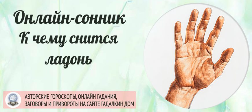 Сонник: ладонь