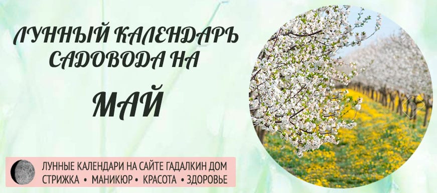 Лунный календарь ухода за растениями для садовода и огородника в мае 2021 года - оракул благоприятных дней.