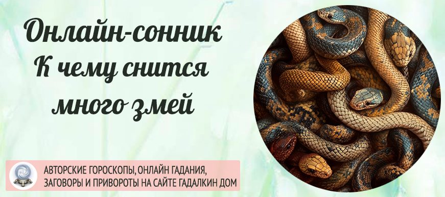 Сонник: много змей
