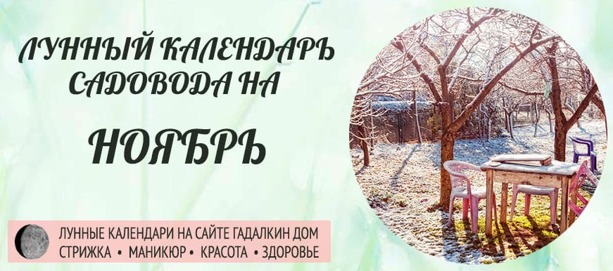 Лунный календарь ухода за растениями для садовода и огородника в ноябре 2021 года - оракул благоприятных дней.