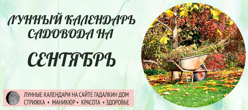 Лунный календарь ухода за растениями для садовода и огородника в сентябре 2021 года - оракул благоприятных дней.