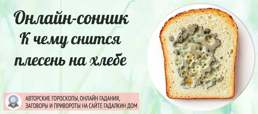 Сонник: хлеб с плесенью
