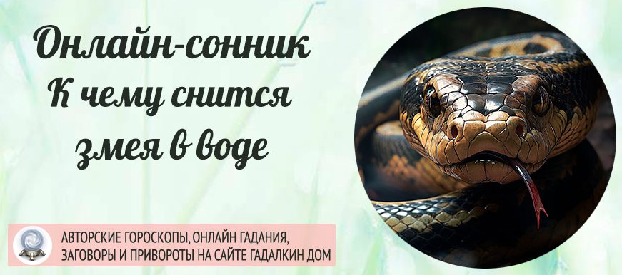 Сонник: змея в воде