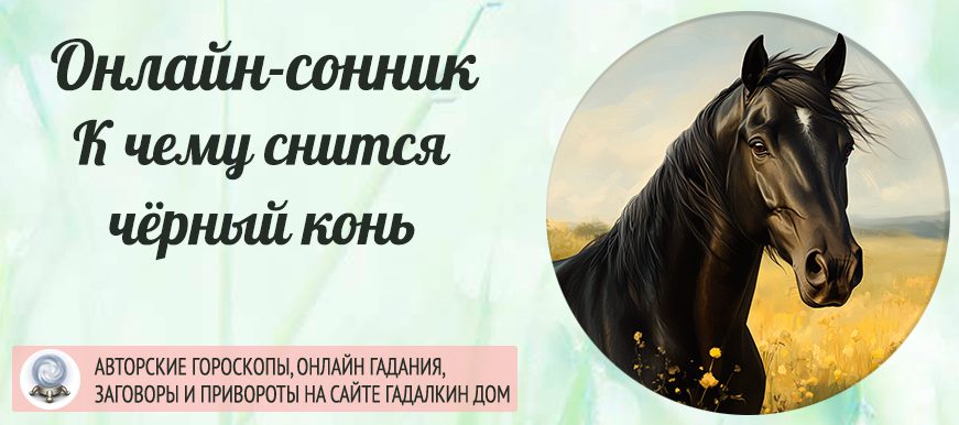 Сонник: чёрный конь