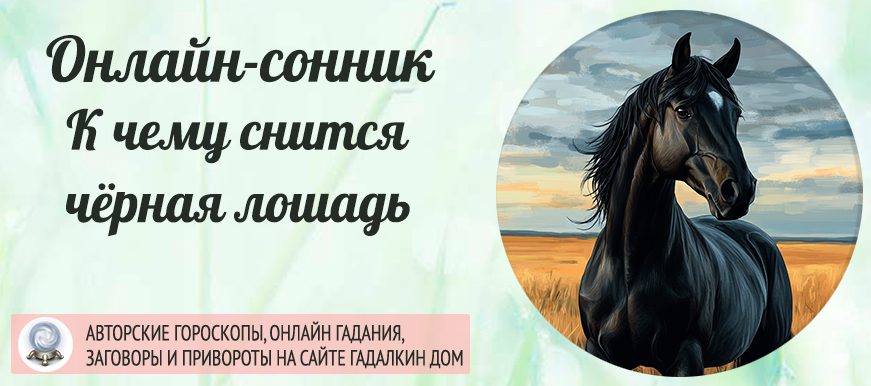Сонник: чёрная лошадь