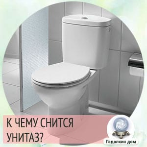 Сонник во сне туалет. К чему снится туалет во сне для женщины.