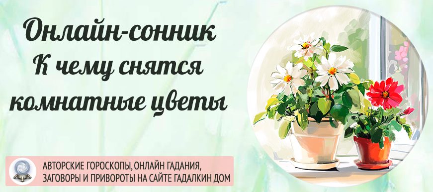 Сонник: комнатные цветы