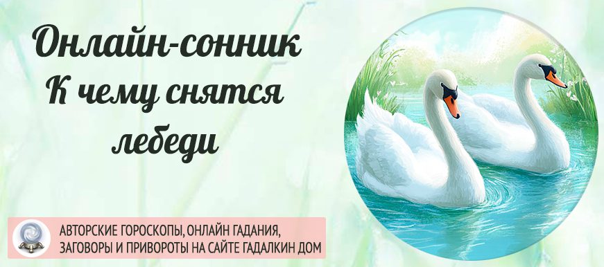 Сонник: лебеди