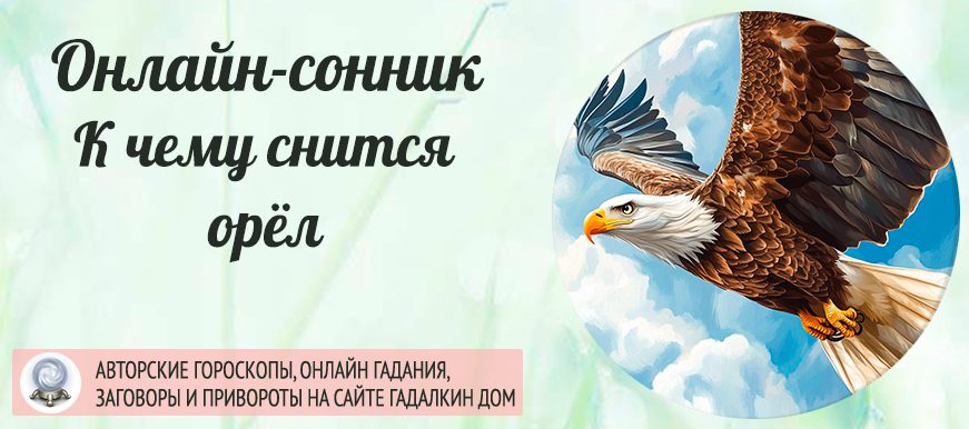 Сонник: орёл