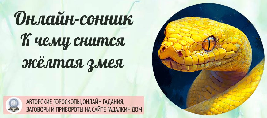 Сонник: жёлтая змея