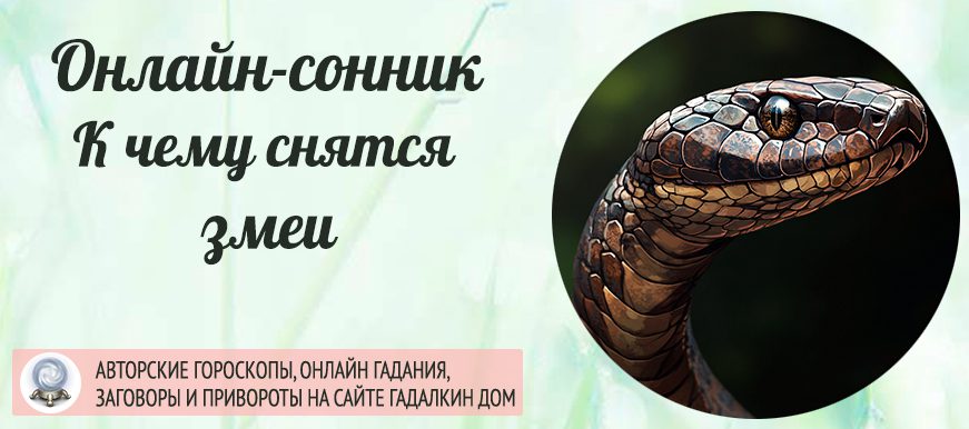 Сонник: змея