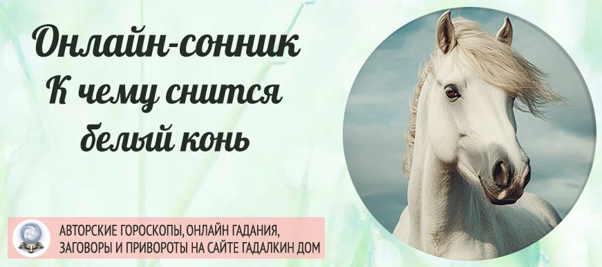 Сонник: белый конь