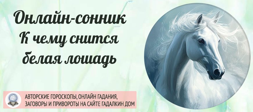 Сонник: белая лошадь