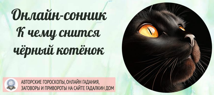 Сонник: чёрный котёнок