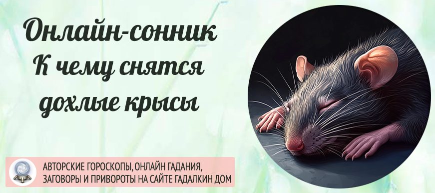Сонник: дохлые крысы