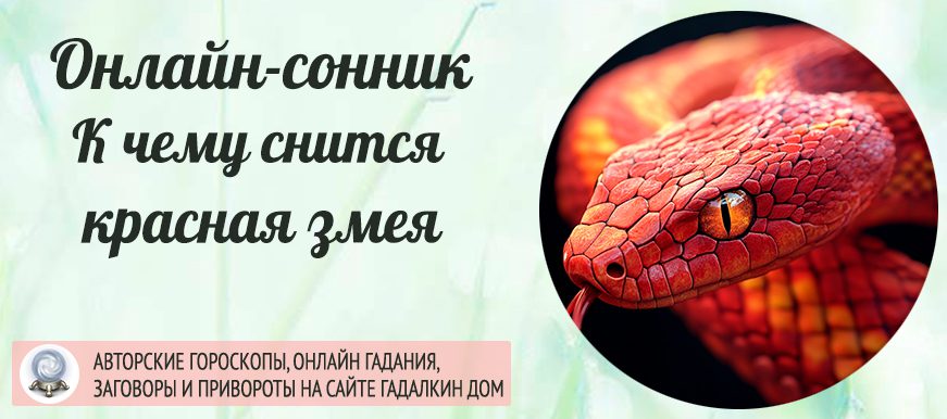 Сонник: красная змея
