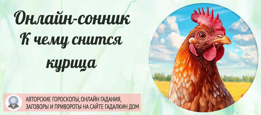 Сонник: курица